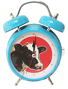 cow alarm clock