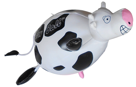 cow pool toy