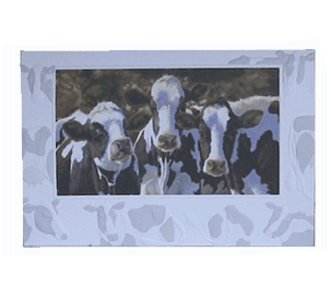 cow birthday card