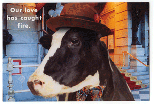 cow sentiment greeting card