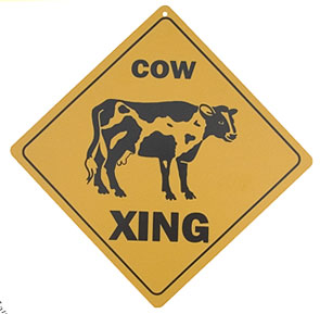 Cow plastic Signs