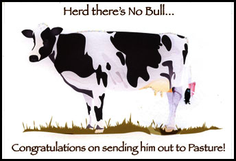cow divorce greeting card
