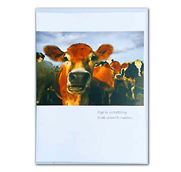 cow belated birthday card