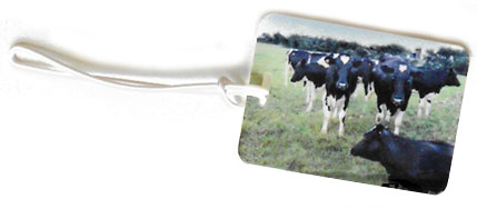 cow luggage tag