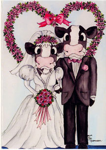 wedding cow greeting cards