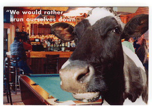 cow barn greeting card
