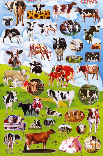 big sheet cow stickers